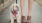a person holding a dog