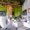 a room with white chairs and a table with a plant on it