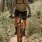 man riding a bike on a trail in the woods
